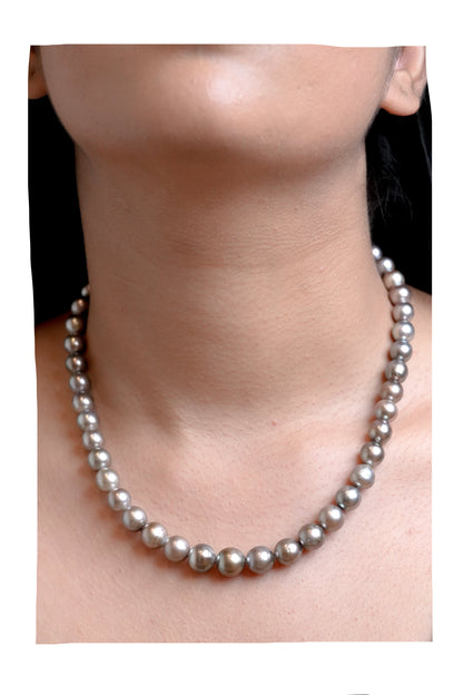 The Obsidian Lumina Grey Pearl Strand Necklace