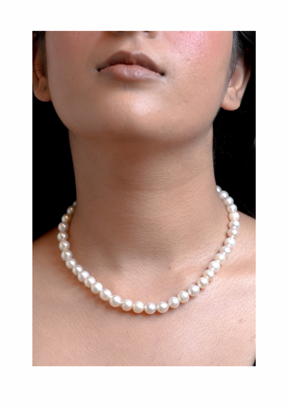 The Lumina Signature Classic Pearl Strand Necklace